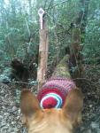 Knitting on a fallen log