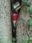 Photo of fire extinguisher in the crook of a tree.