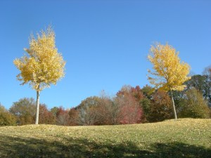 DSCN4679
