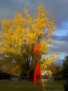 IMG-20121118-00485