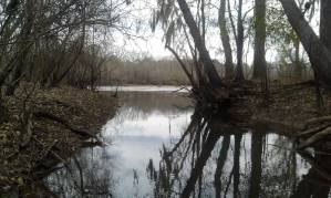 boyles-island-1500x897