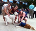 Dogs at Bark in the Park.