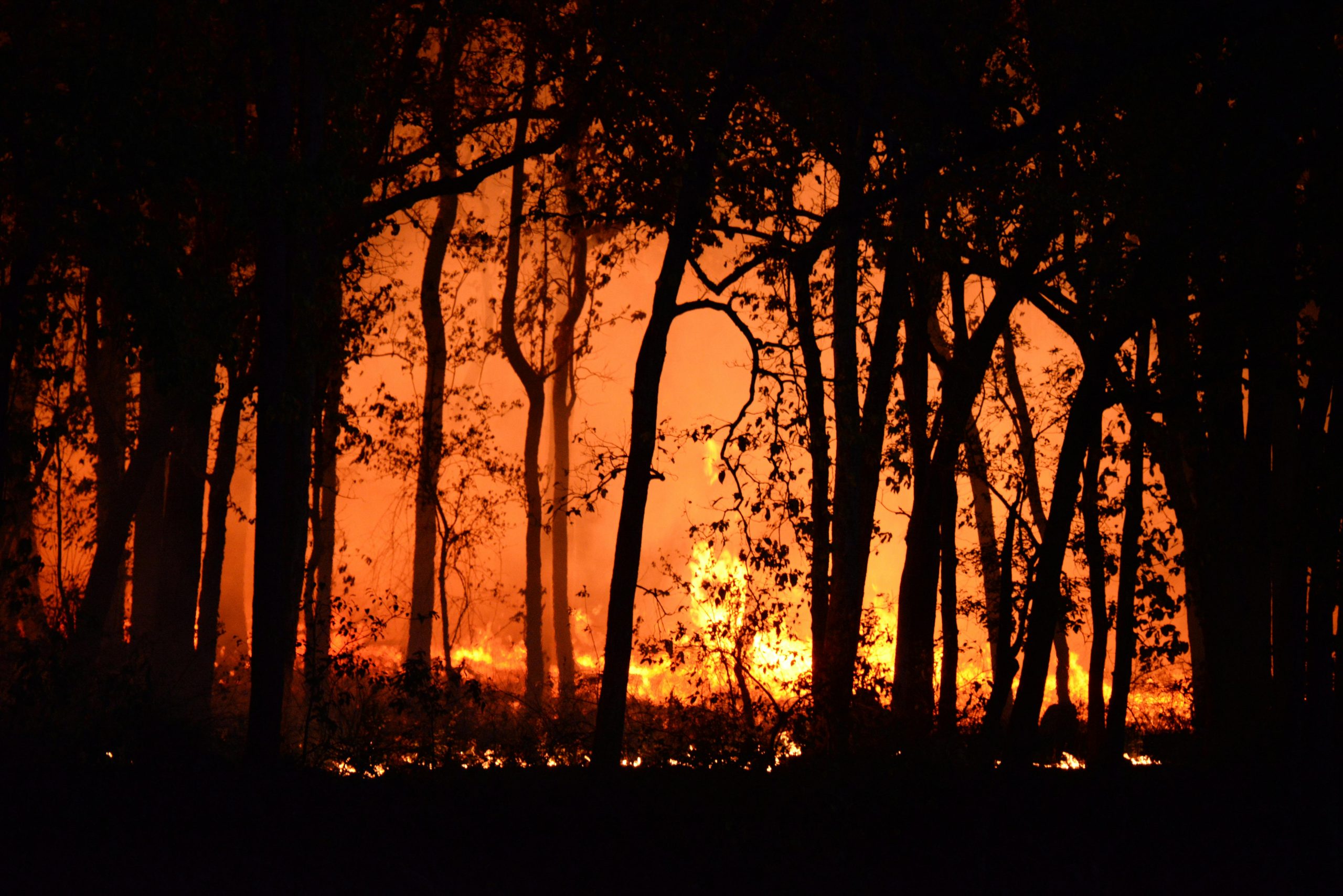 In southern Georgia, Earth Day was spent fighting fires that are still raging today amidst a drought