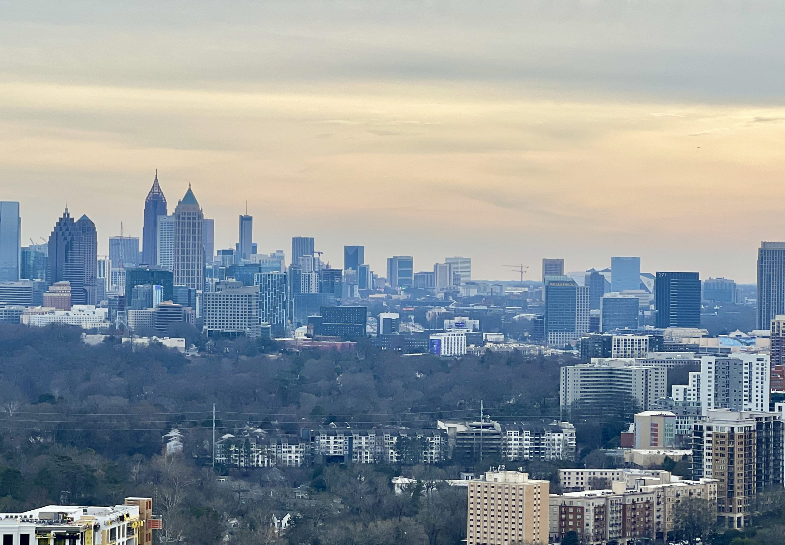 Atlanta tree canopy drops to 45.5 percent, missing city goals